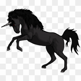 Unicorn - Black Unicorn, HD Png Download - unicorn png