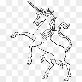 28 Collection Of Unicorn Drawing Png - Coloring Pages, Transparent Png - unicorn png