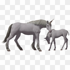Mythical Realistic Unicorn Clipart, HD Png Download - unicorn png