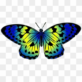 Butterfly Png Images Clipart - Butterfly Blue And Yellow, Transparent Png - butterfly png