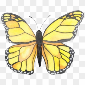 Aesthetic Yellow Butterfly Sticker, HD Png Download - butterfly png
