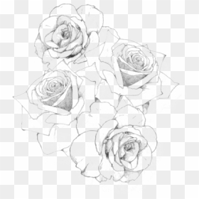 #rosas #rose #png #recursos #negro #black #black & - Rose Tattoo Png, Transparent Png - rose png
