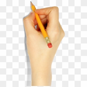 Hand Holding A Pencil Png Download - Hand Holding Pencil Png, Transparent Png - pencil png