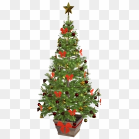 Small Christmas Tree Png, Transparent Png - christmas lights png