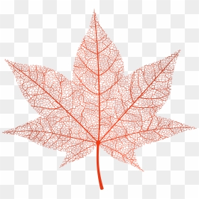 Transparent Red Autumn Leaf Png Clip Art Image - Pink Leaves Png Transparent, Png Download - leaf png