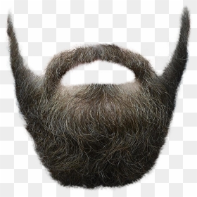 Men Hair Png High-quality Image - Beard Png, Transparent Png - hair png