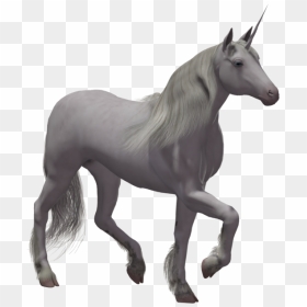 Grab And Download Unicorn Transparent Png File - Real Unicorn Transparent Background, Png Download - unicorn png