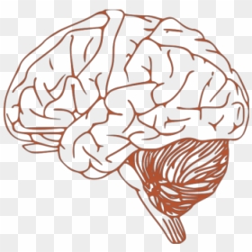 Brain Png Icons, Transparent Png - brain png