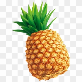 Cayenne Pineapple Png Free Background - Pineapple Illustration, Transparent Png - pineapple png