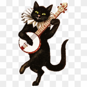 Cat Playing Banjo, HD Png Download - cat png