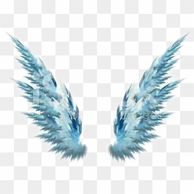 Wings Png Tumblr - Blue Wings White Background, Transparent Png - wings png