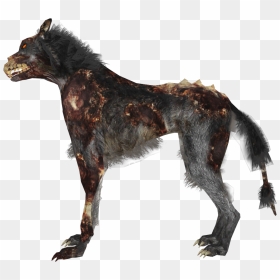 Transparent Zombie Dog Png - Zombie Dog Png, Png Download - dog png