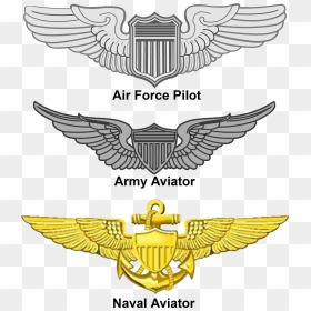 Aviation Wings - Navy Air Force Wings, HD Png Download - wings png