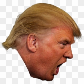 Angry Trump Head Png - Transparent Trump Head Png, Png Download - trump png