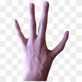 4fingers On Hand Clipart Banner Free Library 4 Fingered - 4 Finger Hand, HD Png Download - hand png
