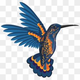 Bird In Flight Illustration, HD Png Download - birds png