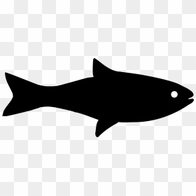 Clipart Fish Icon - Fish Silhouette Png, Transparent Png - fish png