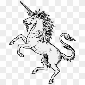 Heraldic Unicorn Png Clipart , Png Download - Unicorn Drawing Coat Of Arms, Transparent Png - unicorn png