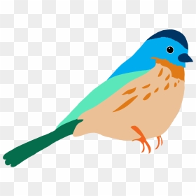 Graasisken Colored - Drawing Of Bird With Colour, HD Png Download - bird png
