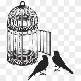Cage Bird Png Image - Bird Cage Illustration Black And White, Transparent Png - bird png
