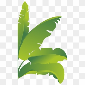 Banna Leaf Png - Illustration, Transparent Png - leaf png