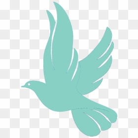 60 White Doves $350 - Stock Dove, HD Png Download - dove png