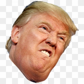 Black And White Donald Trump, HD Png Download - donald trump png