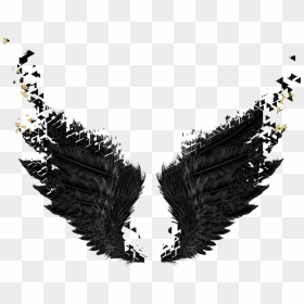 Wings Black Gold Dark Angel Fairytail - Dark Angel Wings Png, Transparent Png - wings png