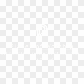 Thoranam Images Png - Ivory, Transparent Png - thoranam images png