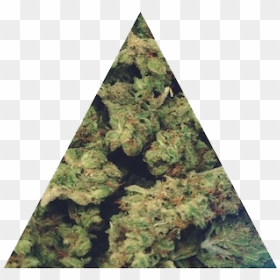 Weed Marijuana Ganja High Edit Nugs Triangle Stoned - High Weed Png, Transparent Png - weed png