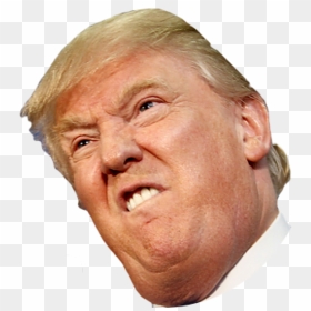 Angry Side Face Trump - Donald Trump Face Png, Transparent Png - donald trump png