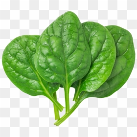Pin By Free Png Image On Png Foods And Drinks Images - Spinach Png, Transparent Png - leaves png