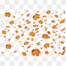 Autumn Leaves Png Photos - Autumn Falling Leaves Png, Transparent Png - thoranam images png
