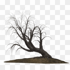 Free Png Download Creepy Trees Png Images Background - Creepy Trees Png, Transparent Png - trees png