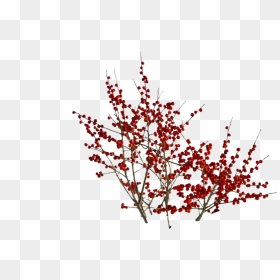 Berry Bush Png, Transparent Png - bush png