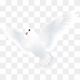 Free Png Download Dove Transparent Png Images Background - Transparent Dove, Png Download - dove png