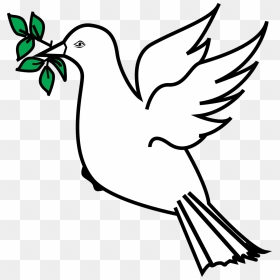 Dove With Olive Branch Clip Art, HD Png Download - dove png
