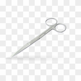Dressing Scissor Straight Sharp Blunt, HD Png Download - blunt png