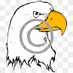 Cartoon Eagle Black And White, HD Png Download - eagle png