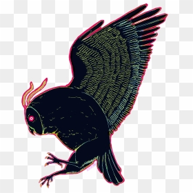 Eagle , Png Download - Eagle, Transparent Png - eagle png