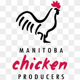 Rooster, HD Png Download - chicken png