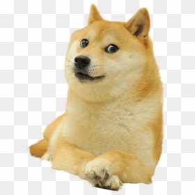 Doge Meme Png, Transparent Png - doge png