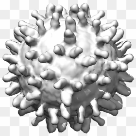 Coronavirus Png - Matrimandir, Transparent Png - png background