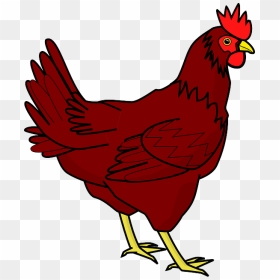 Download Chicken Png Transparent Image - Red Hen Clip Art, Png Download - chicken png