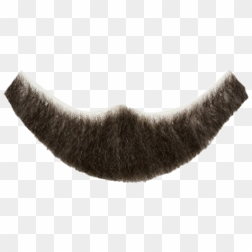 Beard Png Photo - Short Beard Png, Transparent Png - beard png