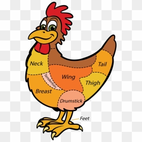 Mutton Clipart Chicken Wing - Different Kind Clipart, HD Png Download - chicken png