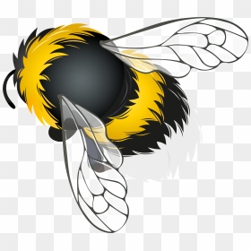 Bee Png Clipart - Bee Clipart Png, Transparent Png - bee png