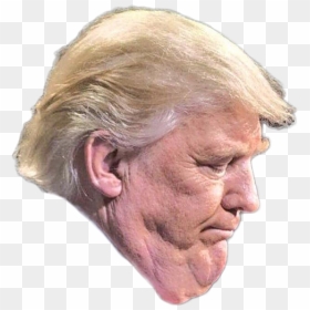 Donald Trump Trump Tower United States - Trump's Ugly, HD Png Download - donald trump png