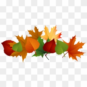 Fall Leaves Clipart Transparent Jpg Free Download Fall - Fall Leaves Transparent Background, HD Png Download - fall leaves png