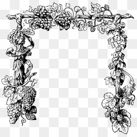 Grape Vine Clip Arts - Clipart Grape Vine, HD Png Download - vines png